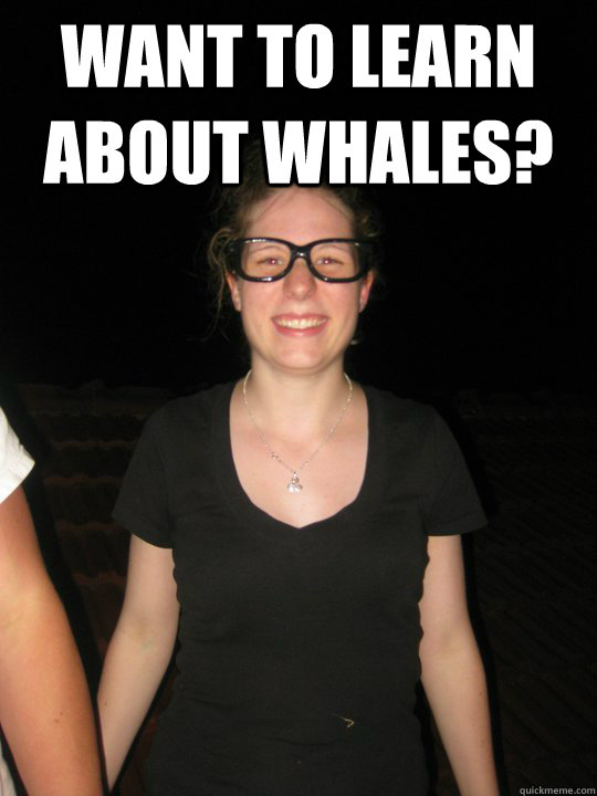 Want to learn about whales?   Awkward Aileen