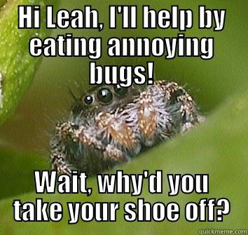 HI LEAH, I'LL HELP BY EATING ANNOYING BUGS! WAIT, WHY'D YOU TAKE YOUR SHOE OFF? Misunderstood Spider