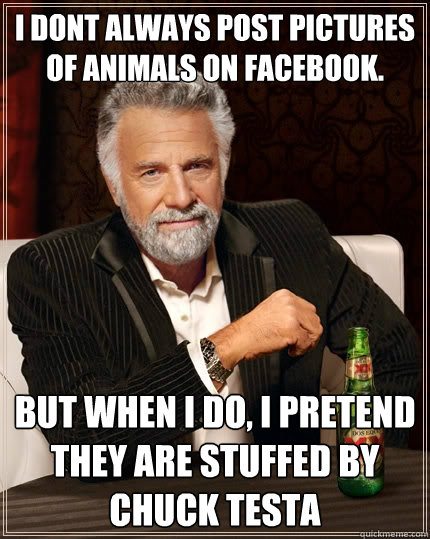 I dont always post pictures of animals on facebook. but when i do, I pretend they are stuffed by Chuck Testa  The Most Interesting Man In The World