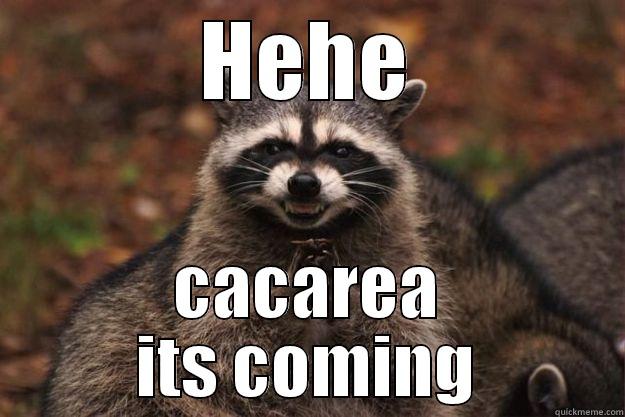 HEHE CACAREA ITS COMING Evil Plotting Raccoon