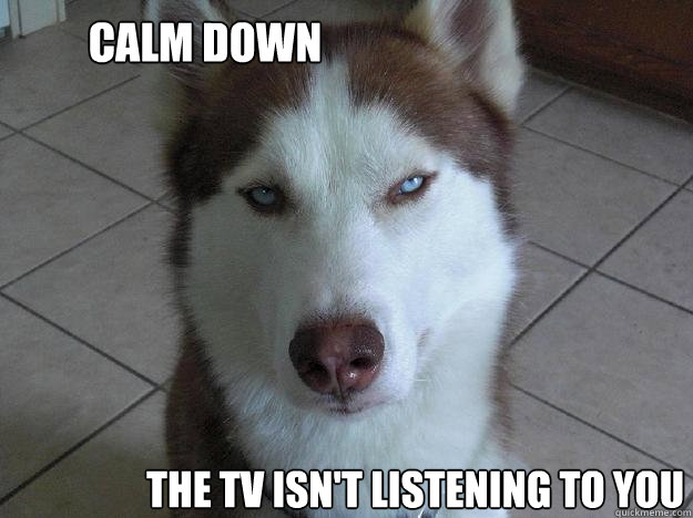 calm down the tv isn't listening to you - calm down the tv isn't listening to you  Anti Conspiracy Dog