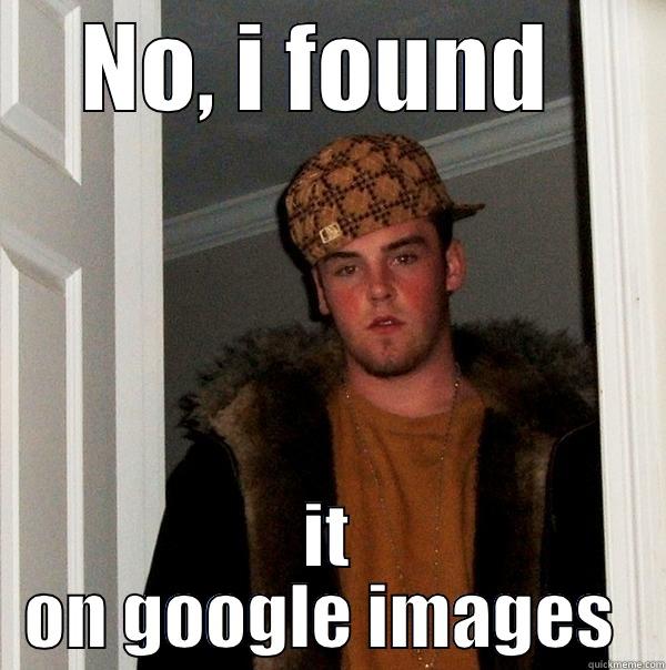 NO, I FOUND  IT ON GOOGLE IMAGES  Scumbag Steve