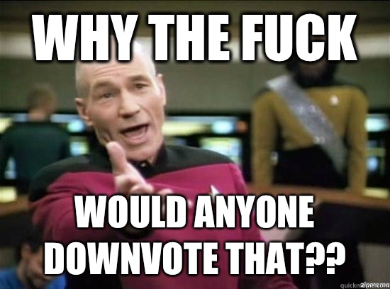 Why the fuck Would anyone downvote that??  Annoyed Picard HD