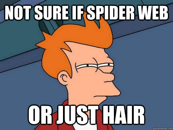 Not sure if spider web Or just hair  Futurama Fry