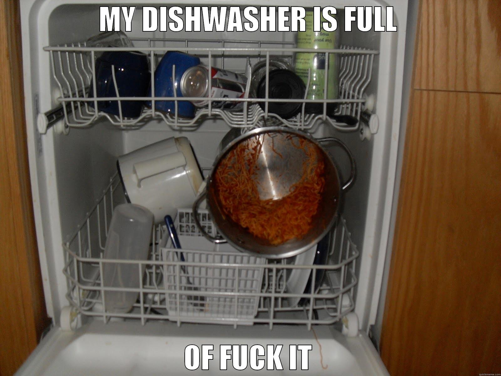 MY DISHWASHER IS FULL OF FUCK IT Misc