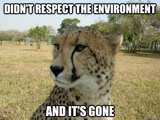 Didn't respect the environment and it's gone  Facetious Feline
