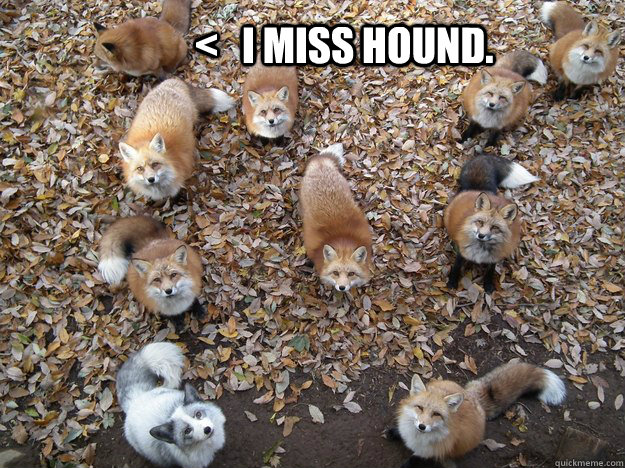 <   I miss Hound. - <   I miss Hound.  Misc