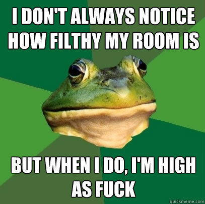i don't always notice how filthy my room is but when i do, i'm high as fuck  Foul Bachelor Frog