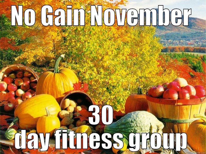 NO GAIN NOVEMBER 30 DAY FITNESS GROUP Misc