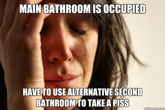 main bathroom is occupied have to use alternative second bathroom to take a piss  First World Problems