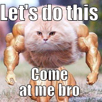 LET'S DO THIS  COME AT ME BRO Misc