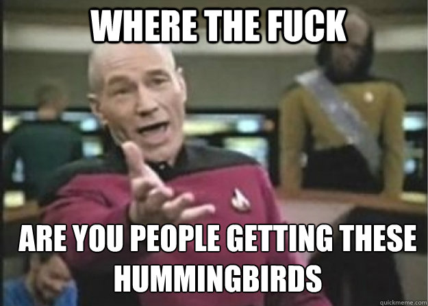 where the fuck are you people getting these hummingbirds  Annoyed Pichard
