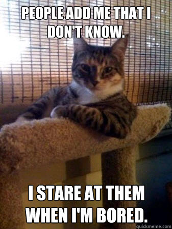 People add me that I don't know. I stare at them when i'm bored.  The Most Interesting Cat in the World