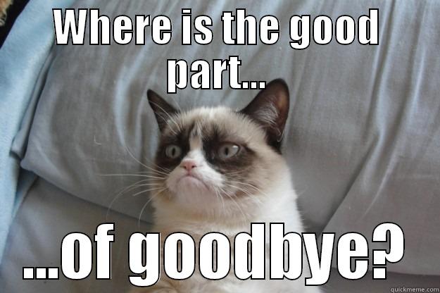 WHERE IS THE GOOD PART... ...OF GOODBYE? Grumpy Cat