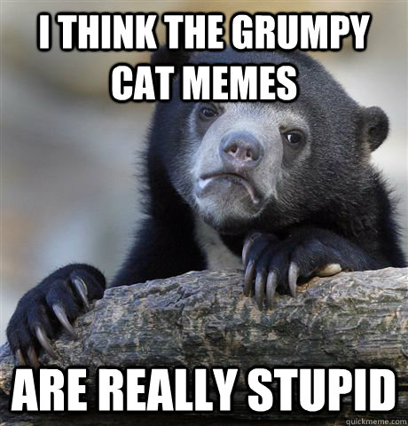 I think the grumpy cat memes are really stupid  Confession Bear