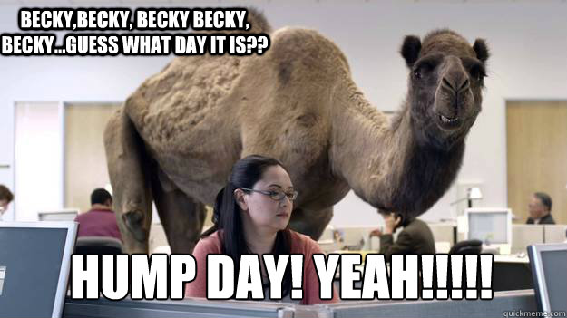 BECKY,BECKY, BECKY BECKY, BECKY...GUESS WHAT DAY IT IS?? HUMP DAY! YEAH!!!!!  Hump Day Camel