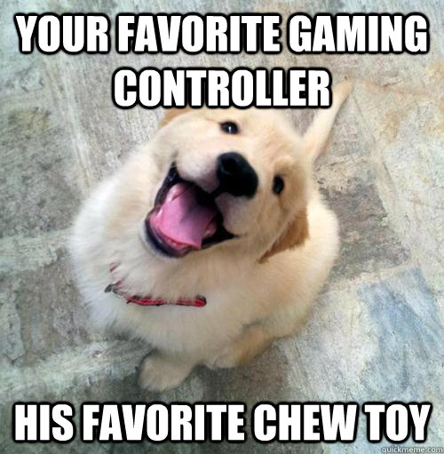 Your favorite gaming controller his favorite chew toy  