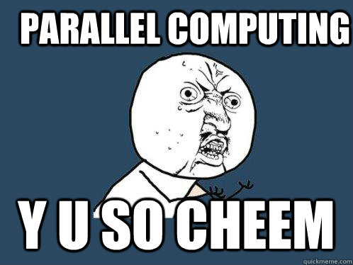 parallel computing y u so cheem  Y U No
