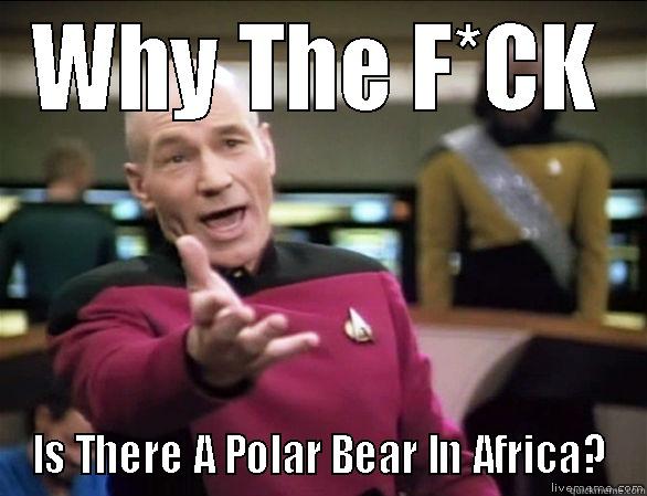 WHY THE F*CK IS THERE A POLAR BEAR IN AFRICA? Annoyed Picard HD