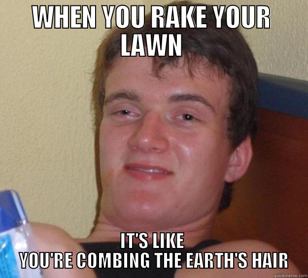WHEN YOU RAKE YOUR LAWN IT'S LIKE  YOU'RE COMBING THE EARTH'S HAIR 10 Guy