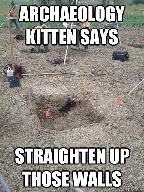 Archaeology Kitten says Straighten up those walls  Archaeology Kitten