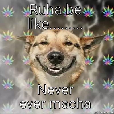 Ruha be like - RUHA BE LIKE......... NEVER EVER MACHA Stoner Dog