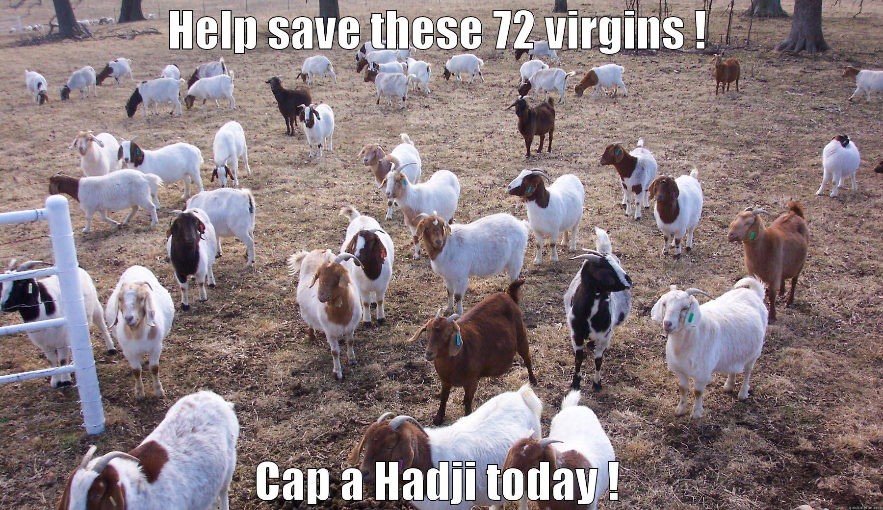 HELP SAVE THESE 72 VIRGINS ! CAP A HADJI TODAY ! Misc