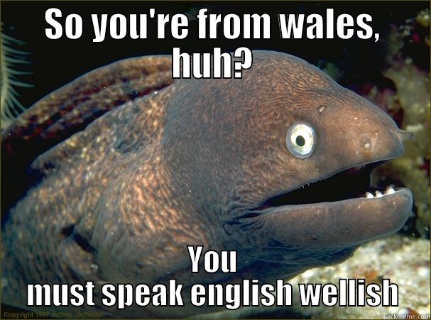SO YOU'RE FROM WALES, HUH? YOU MUST SPEAK ENGLISH WELLISH Bad Joke Eel