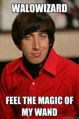 walowizard feel the magic of my wand - walowizard feel the magic of my wand  Howard Wolowitz