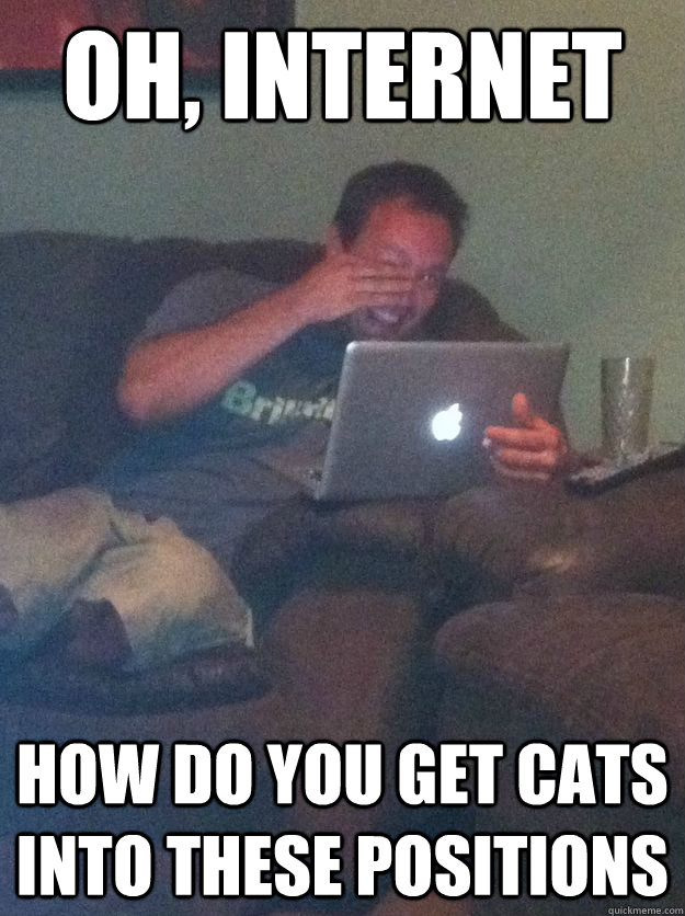 Oh, internet how do you get cats into these positions - Oh, internet how do you get cats into these positions  Reddit Meme Dad