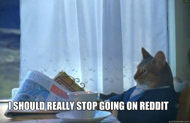 I should really stop going on reddit  Sophisticated Cat
