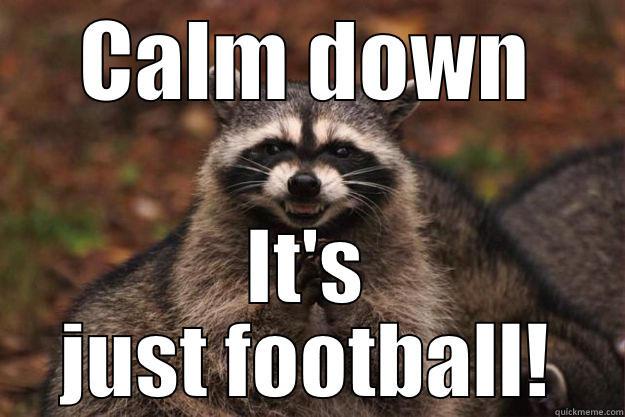 It's only a game... - CALM DOWN IT'S JUST FOOTBALL! Evil Plotting Raccoon