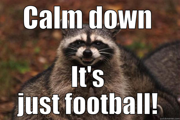 CALM DOWN IT'S JUST FOOTBALL! Evil Plotting Raccoon