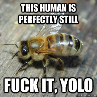 this human is perfectly still fuck it, yolo  Hivemind bee
