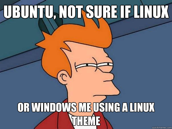 ubuntu, not sure if linux or windows ME using a linux theme - ubuntu, not sure if linux or windows ME using a linux theme  Futurama Fry