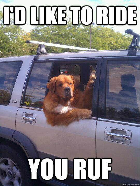I'd like to ride You Ruf - I'd like to ride You Ruf  Womans Best Friend Dog