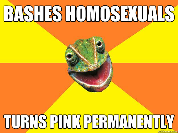 Bashes Homosexuals Turns pink permanently  Karma Chameleon