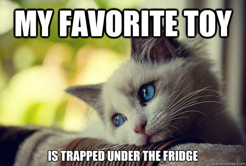 My favorite toy Is trapped under the fridge - My favorite toy Is trapped under the fridge  First World Problems Cat