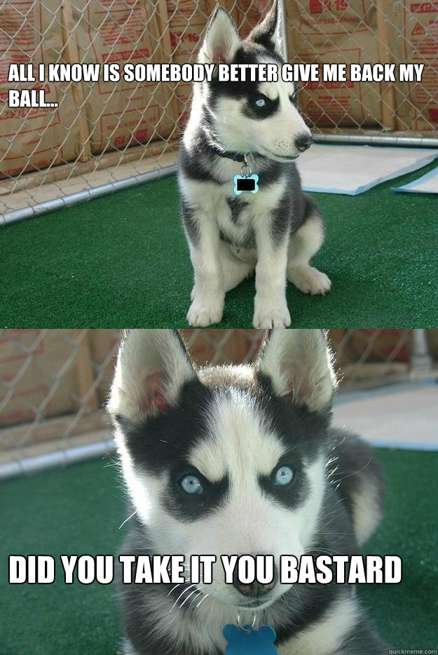 All I know is somebody better give me back my ball... Did you take it you Bastard  Insanity puppy