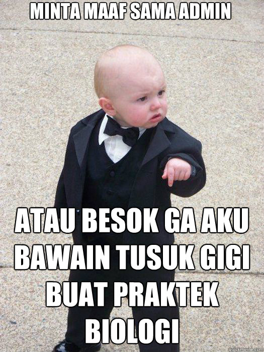 minta maaf sama admin atau besok ga aku bawain tusuk gigi buat praktek biologi   Baby Godfather