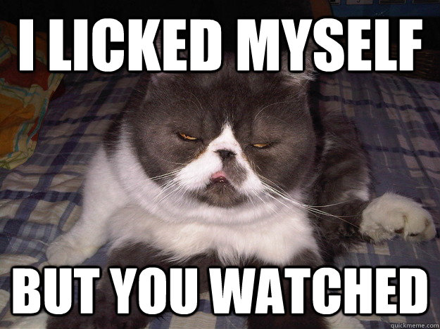 I licked myself but you watched - I licked myself but you watched  Diabeetus Cat