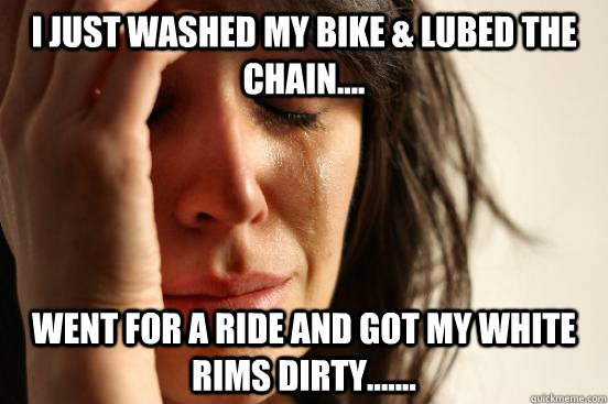 I just washed my bike & lubed the chain.... Went for a ride and got my white rims dirty.......  First World Problems