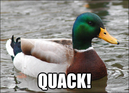  QUACK!  Actual Advice Mallard
