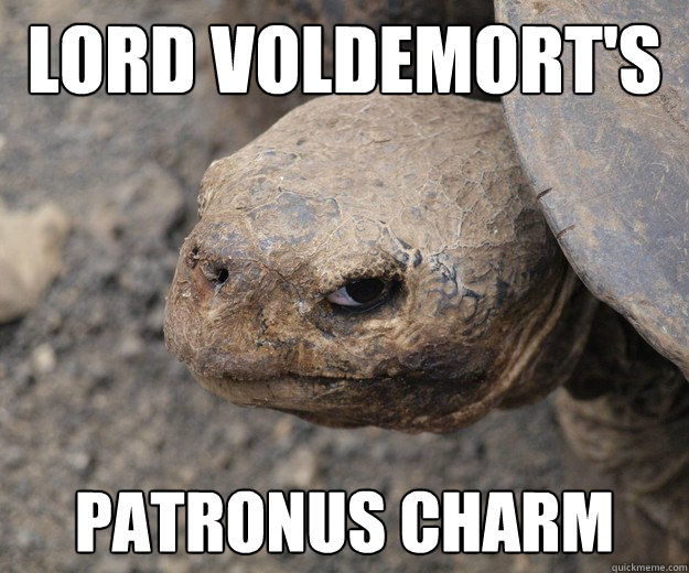 Lord Voldemort's  Patronus Charm  Insanity Tortoise