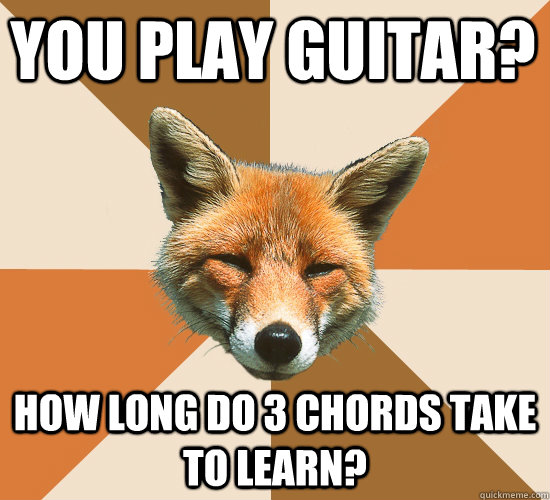 you play guitar? how long do 3 chords take to learn?  Condescending Fox