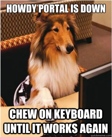 Howdy portal is down Chew on keyboard until it works again  