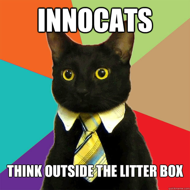 Innocats Think outside the litter box - Innocats Think outside the litter box  Business Cat
