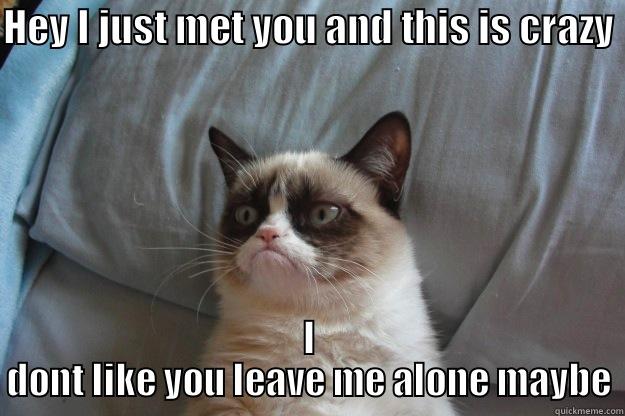 HEY I JUST MET YOU AND THIS IS CRAZY I DONT LIKE YOU LEAVE ME ALONE MAYBE Grumpy Cat