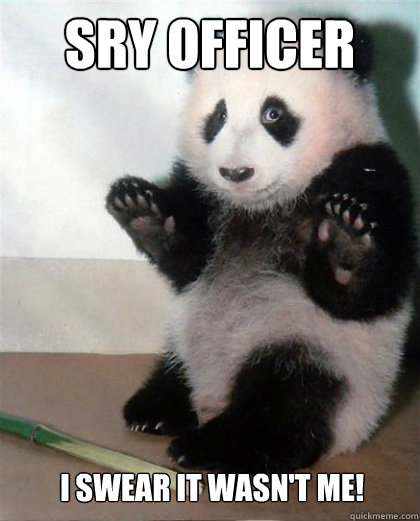 Sry officer I swear it wasn't me! - Sry officer I swear it wasn't me!  Guilty Panda