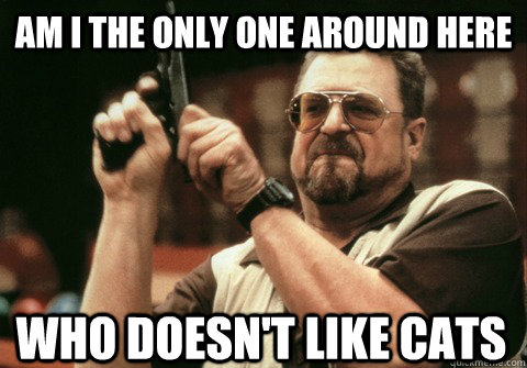Am I the only one around here who doesn't like cats - Am I the only one around here who doesn't like cats  Am I the only one